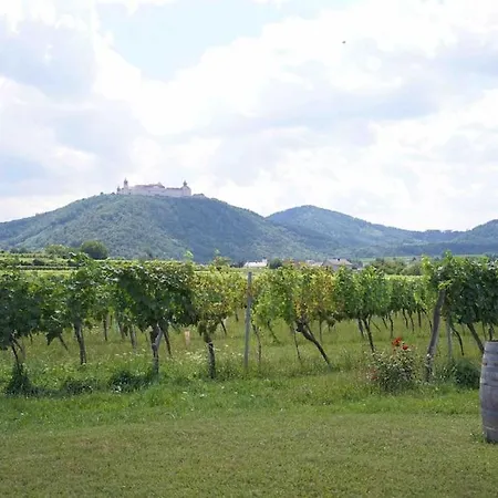 Wonderful Villa Among The Vineyards Palt Exterior foto